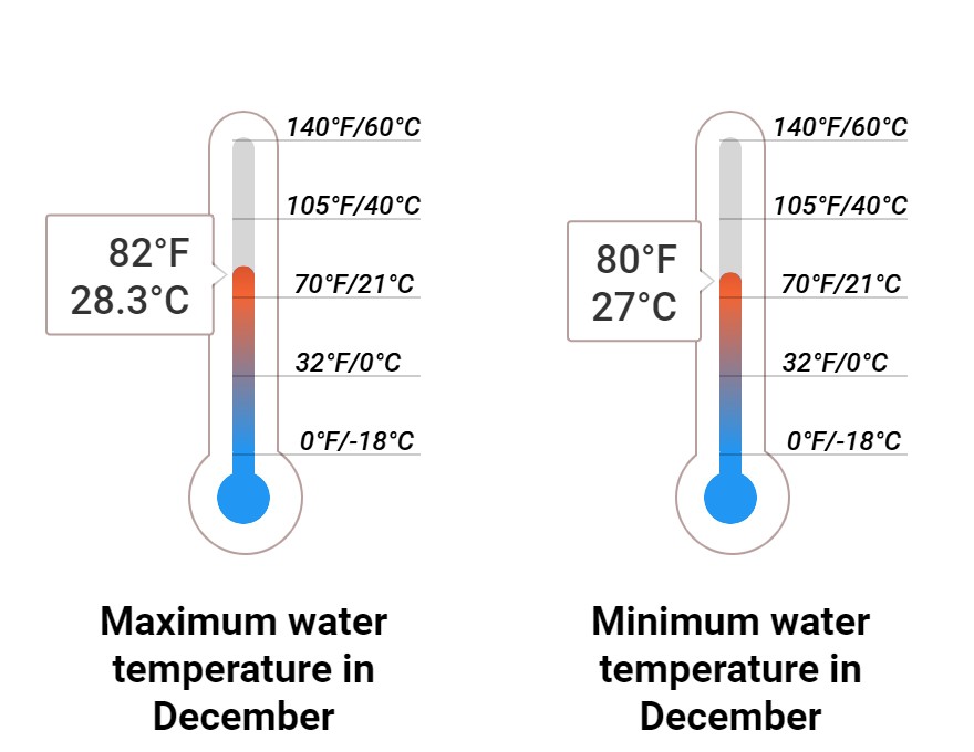 Average Sea temperature